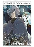 Tempête de cristal