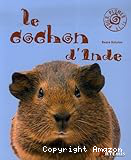 Le cochon d'Inde