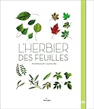 L'herbier des feuilles