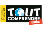 Tout comprendre junior