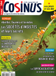 Cosinus, 255 - janvier 2023 - Abeilles, fourmis et termites : les sociétés d'insectes et leurs secrets