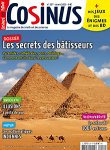 Cosinus, 257 - mars 2023 - Les secrets des bâtisseurs