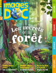 Images doc, 411 - mars 2023 - Les secrets de la forêt