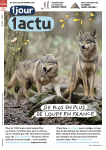 1jour 1actu, 404 - 22 septembre 2023 - De plus en plus de loups en France