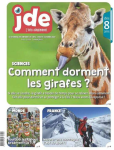 Le Journal des enfants, 1892 - 05 octobre 2023 - Comment dorment les girafes ?